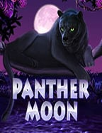 mafia 88 แจก เครดิต ฟรี ค่าย NetEnt เกมสนุก แจ็คพอตสูง